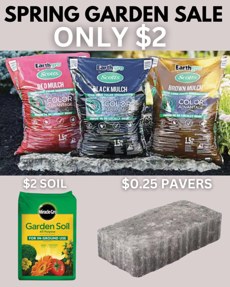 copy of copy of copy of beige and brown elegant new collection instagram post portrait ( 1080x1350 px)-1