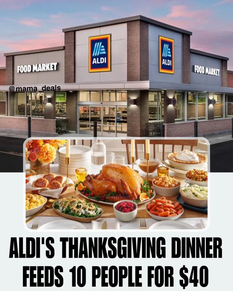 60c8da31-e1c2-4e0f-a8b7-ed6358ac7803