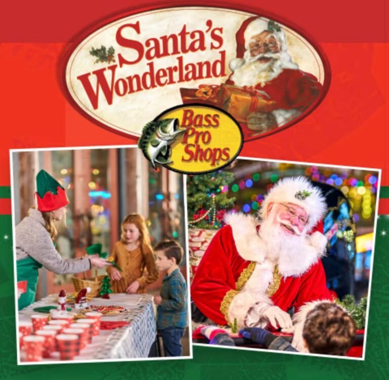 WhatsApp Image 2025-10-19 at 01.46