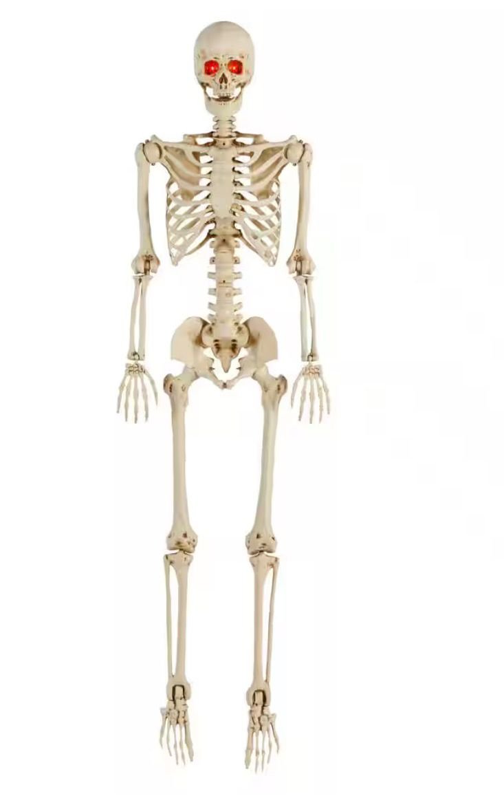 WhatsApp Image 2025-10-19 at 02.07