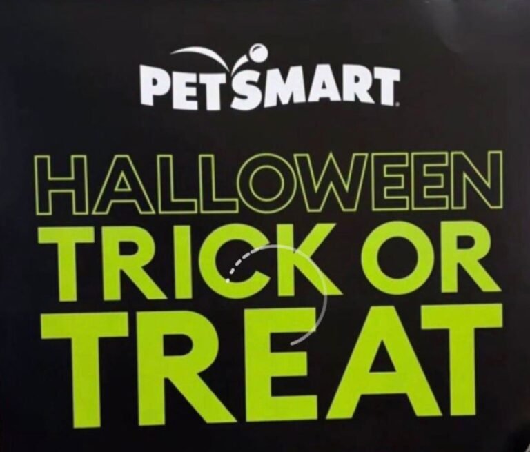 WhatsApp Image 2025-10-24 at 22.46