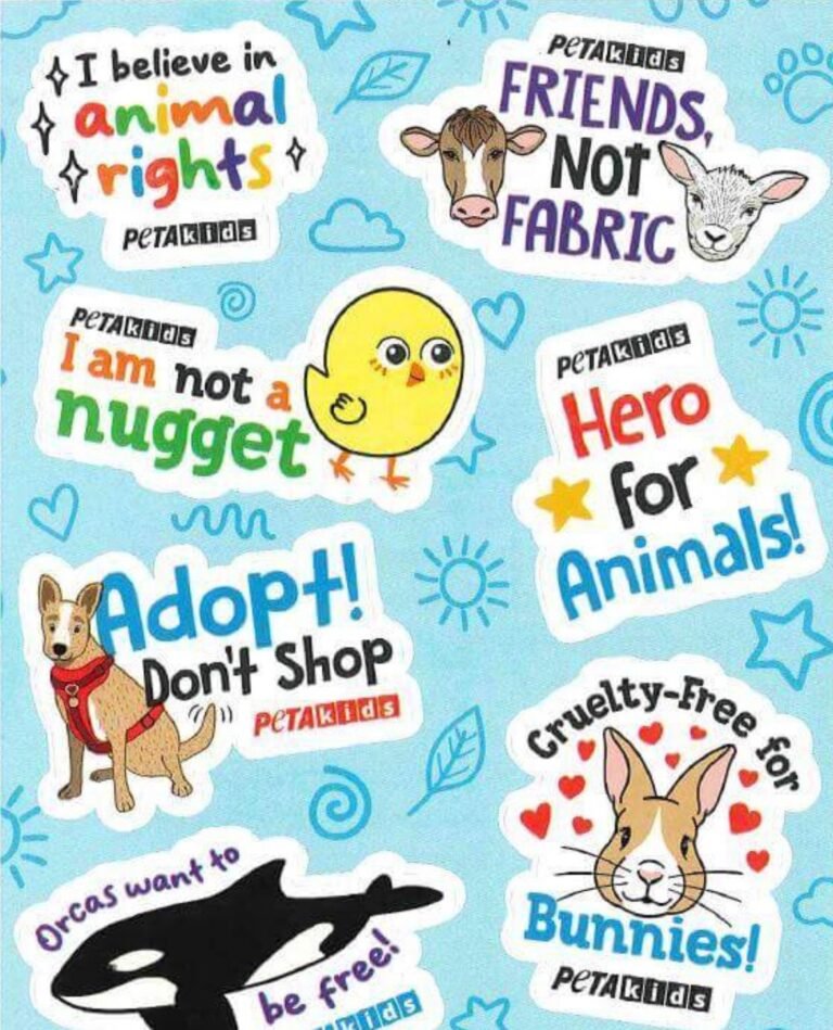 WhatsApp Image 2025-10-25 at 02.05