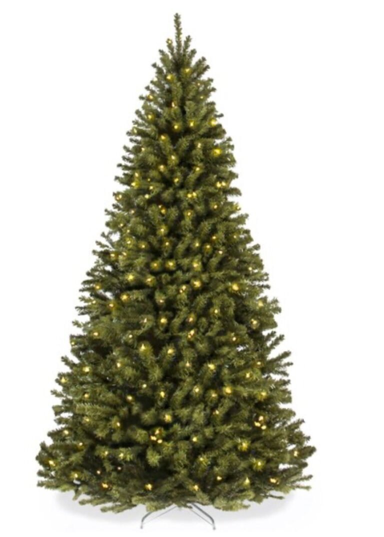 WhatsApp Image 2025-11-02 at 02.00