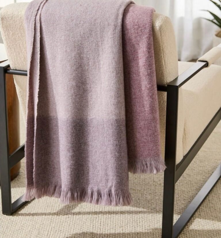 WhatsApp Image 2025-11-03 at 19.42