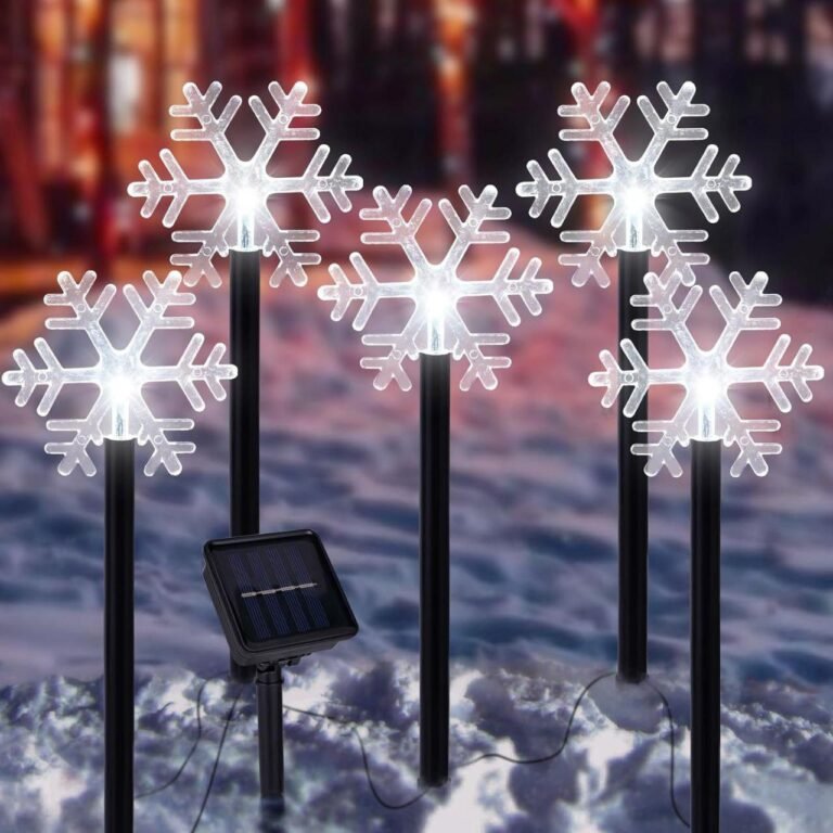 WhatsApp Image 2025-11-07 at 04.06