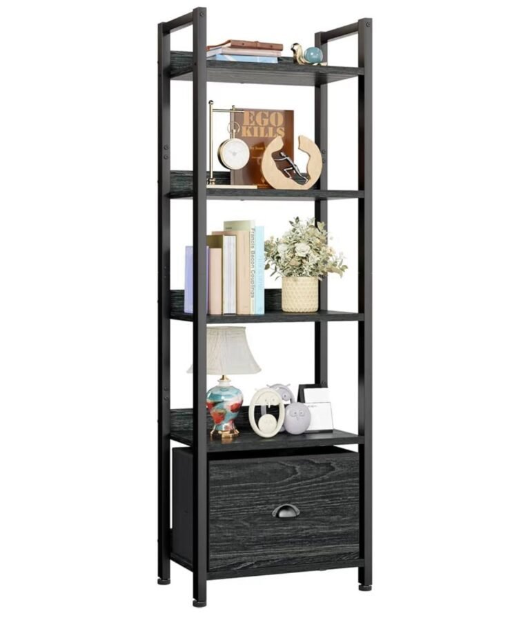 WhatsApp Image 2025-11-08 at 03.56