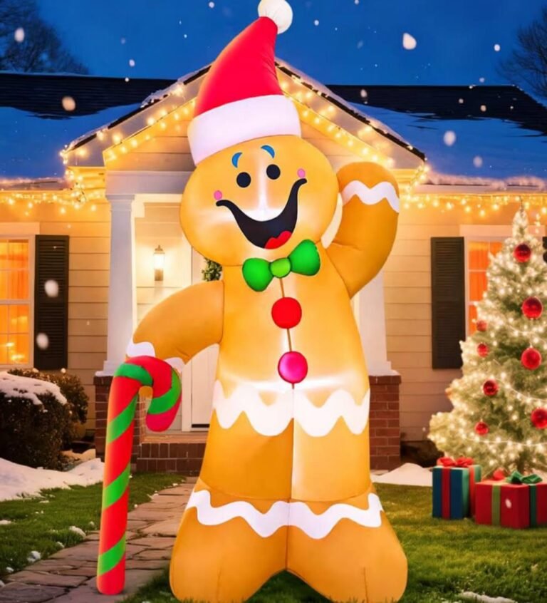 WhatsApp Image 2025-11-08 at 21.44