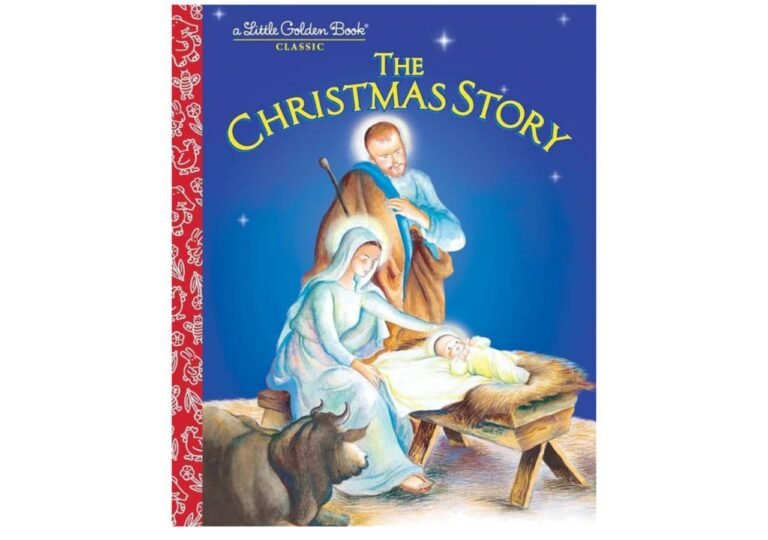 WhatsApp Image 2025-11-11 at 03.53