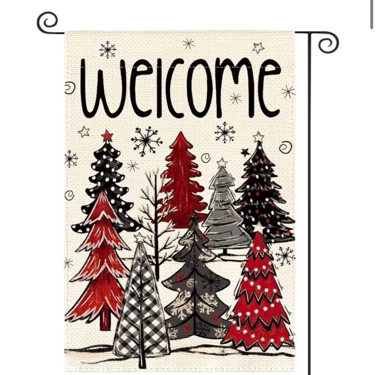 WhatsApp Image 2025-11-11 at 23.15