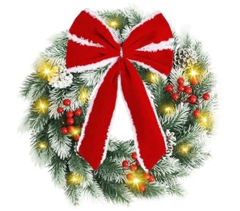 WhatsApp Image 2025-11-14 at 04.33