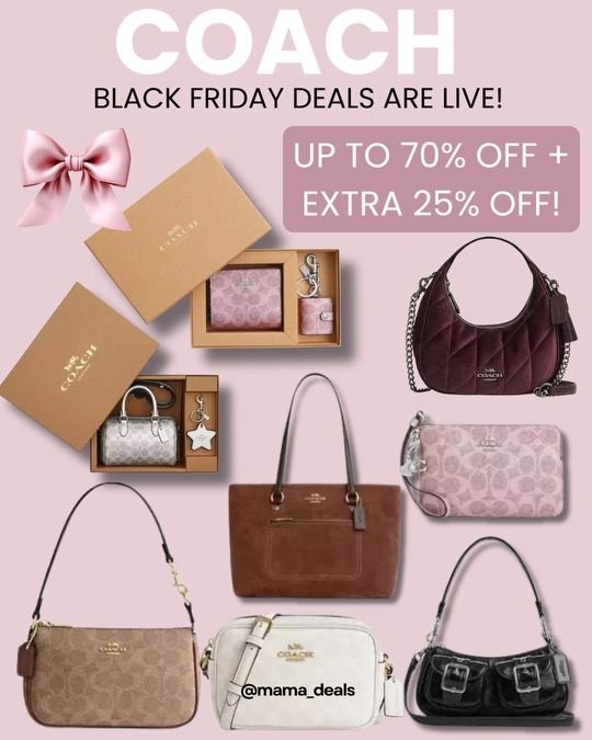 WhatsApp Image 2025-11-19 at 22.47