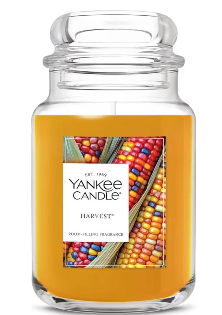 WhatsApp Image 2025-11-20 at 23.33