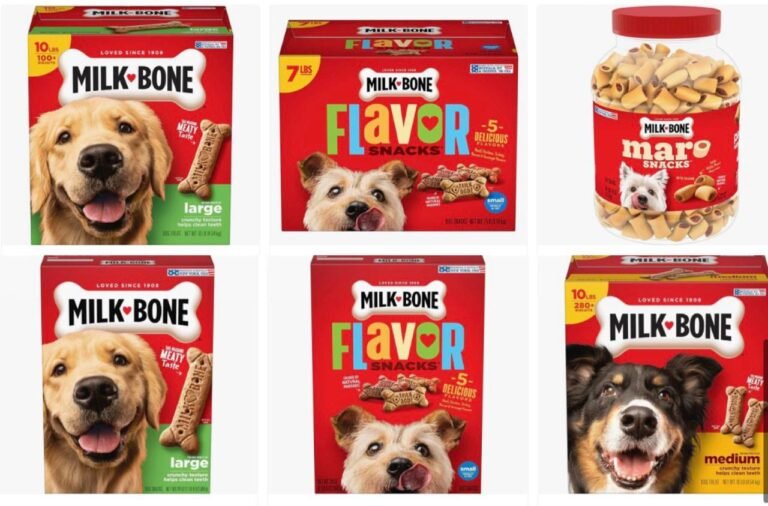 WhatsApp Image 2025-12-08 at 00.37