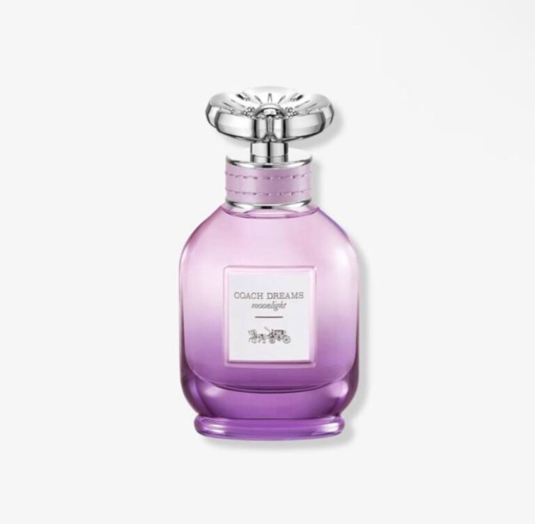 WhatsApp Image 2025-12-24 at 00.14