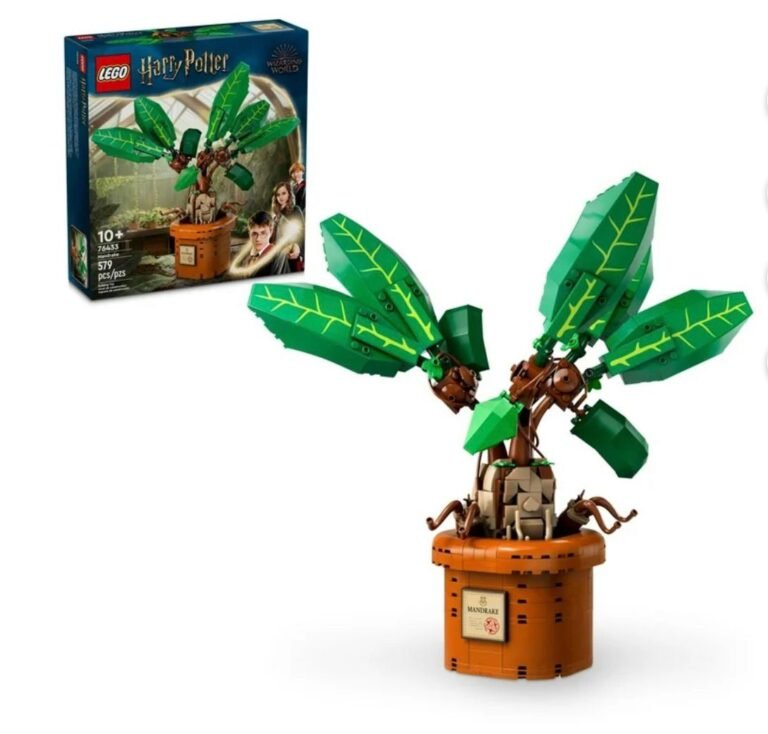 WhatsApp Image 2025-12-25 at 04.47