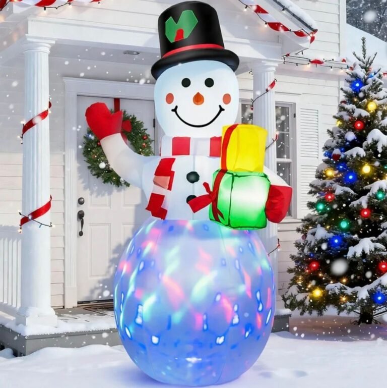 WhatsApp Image 2025-12-26 at 00.11