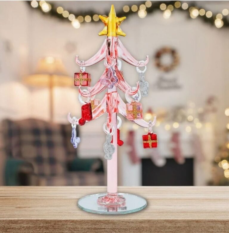 WhatsApp Image 2025-12-26 at 00.12