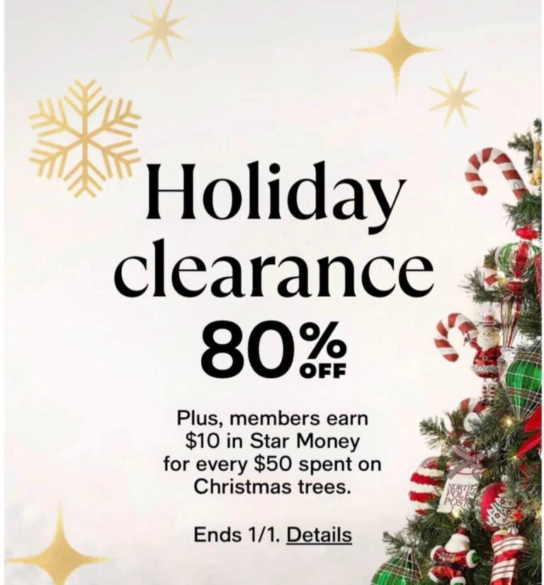 WhatsApp Image 2025-12-27 at 03.37