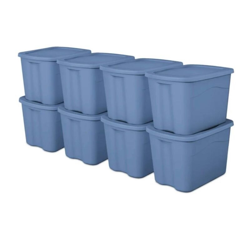 WhatsApp Image 2025-12-31 at 04.42