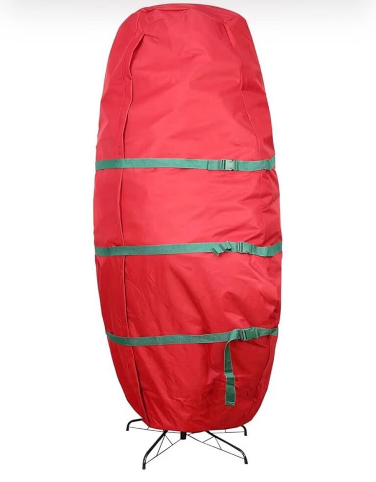 WhatsApp Image 2026-01-05 at 04.32