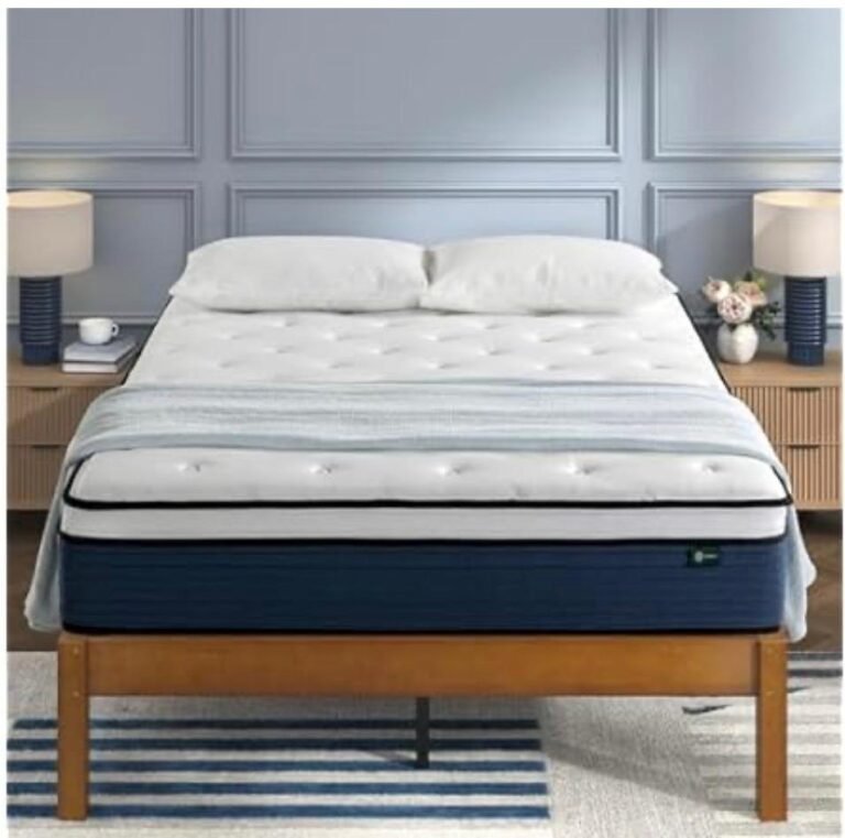 WhatsApp Image 2026-01-11 at 22.42