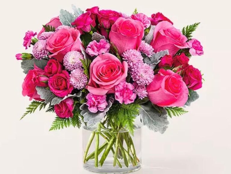 WhatsApp Image 2026-01-13 at 04.12