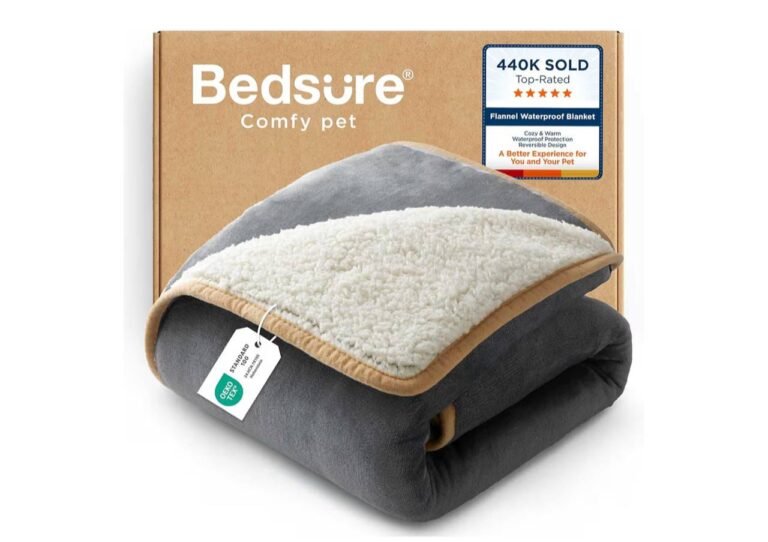 WhatsApp Image 2026-01-23 at 02.32