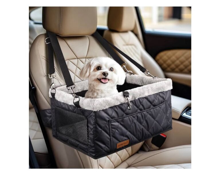 WhatsApp Image 2026-01-23 at 02.33