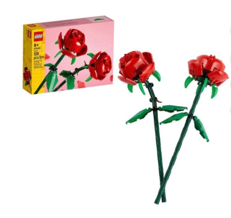 WhatsApp Image 2026-01-25 at 9.08