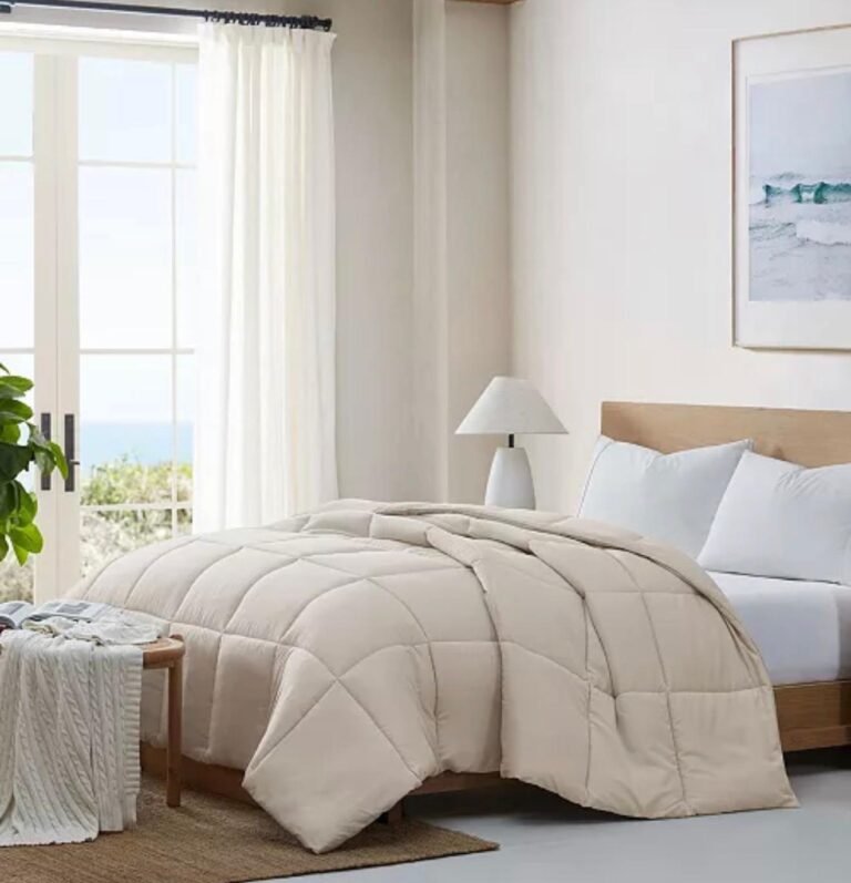 WhatsApp Image 2026-01-29 at 01.06