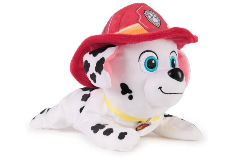 WhatsApp Image 2026-01-29 at 01.41