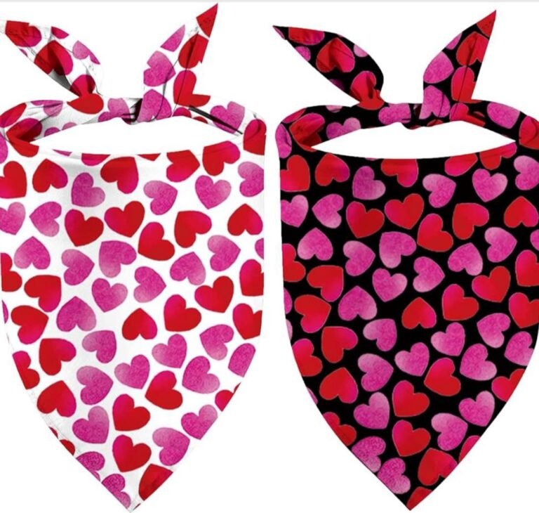 WhatsApp Image 2026-01-30 at 04.34