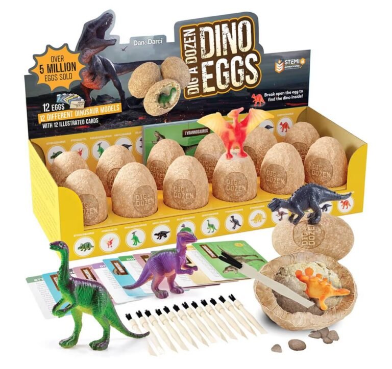 WhatsApp Image 2026-01-30 at 04.42