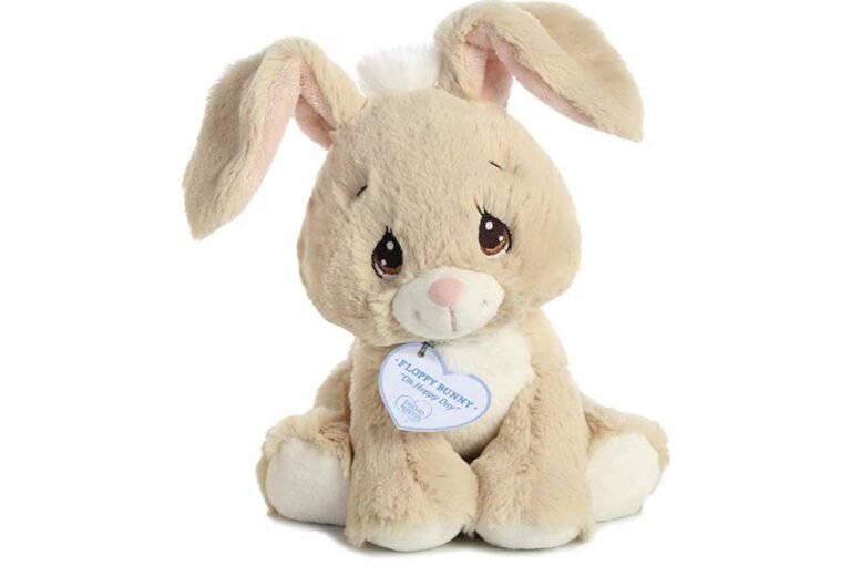 WhatsApp Image 2026-01-31 at 01.52