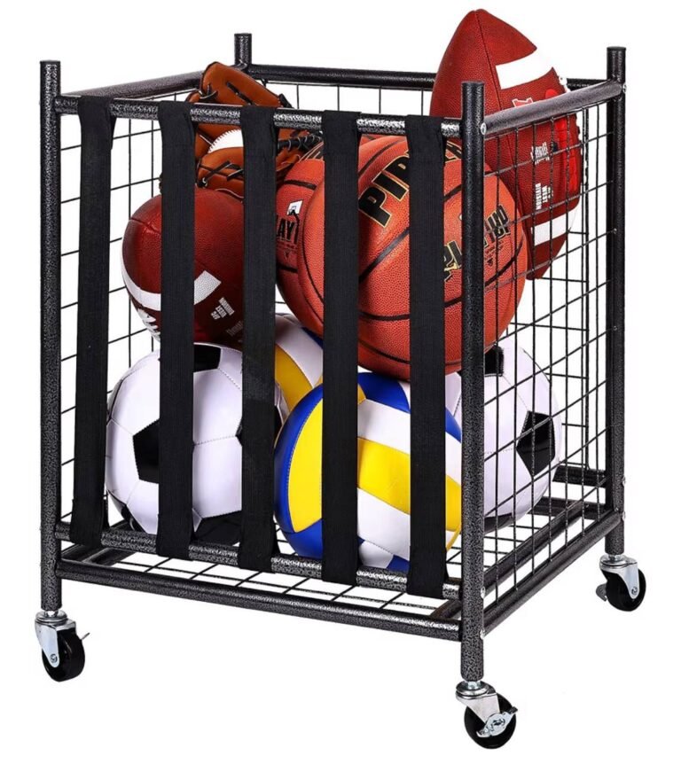 WhatsApp Image 2026-02-01 at 20.07