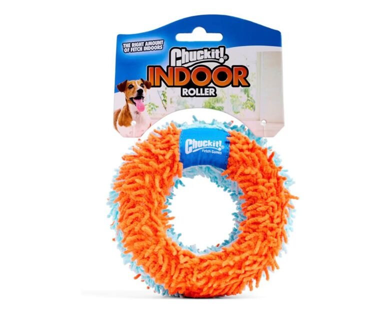 WhatsApp Image 2026-02-03 at 00.13