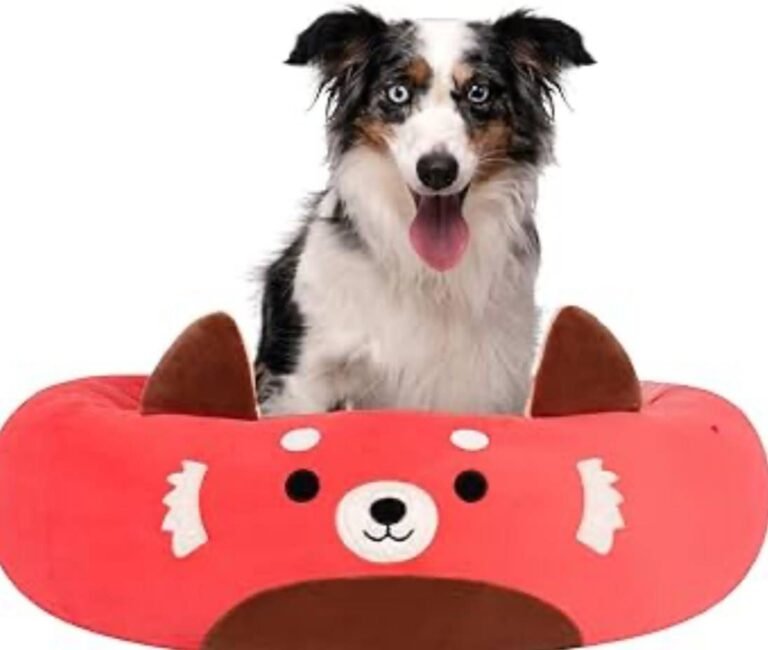 WhatsApp Image 2026-02-03 at 04.40