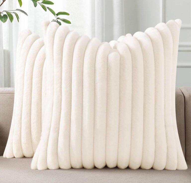 WhatsApp Image 2026-02-05 at 04.46