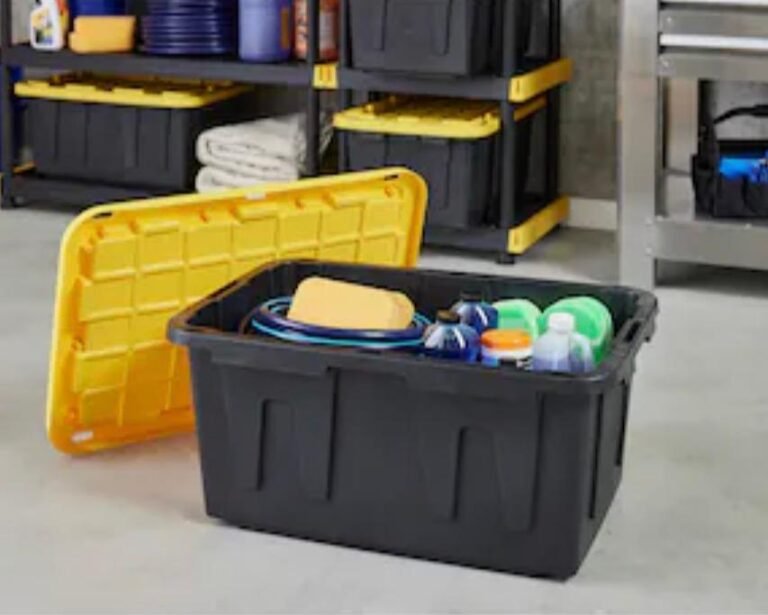 WhatsApp Image 2026-02-06 at 00.02