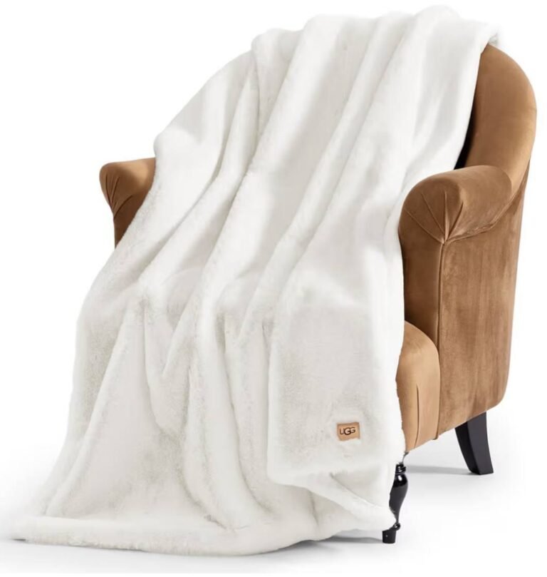 WhatsApp Image 2026-02-06 at 04.24