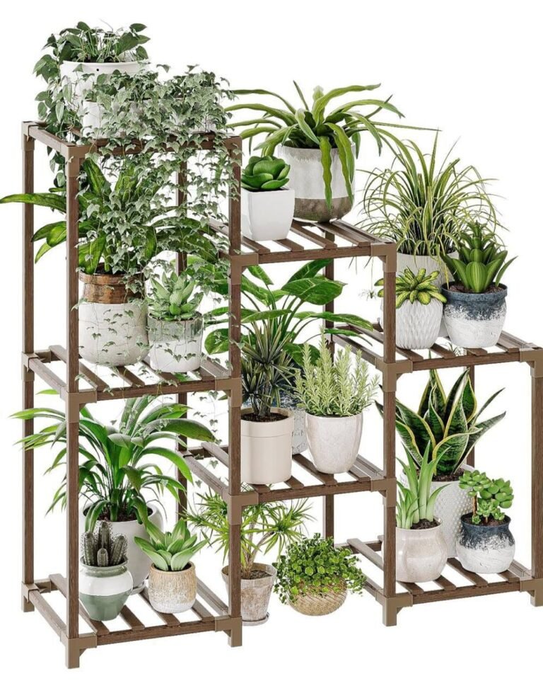 WhatsApp Image 2026-02-06 at 04.28