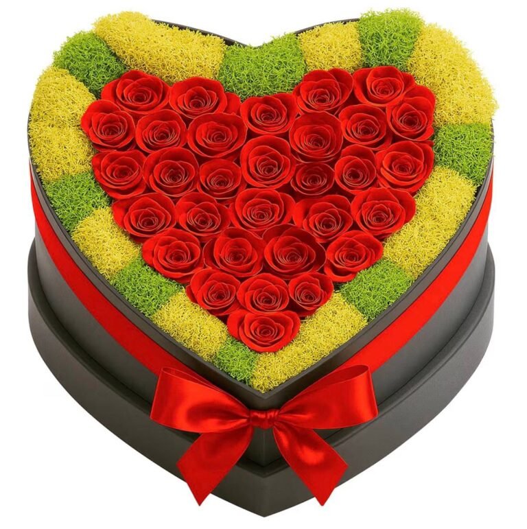 WhatsApp Image 2026-02-07 at 23.44