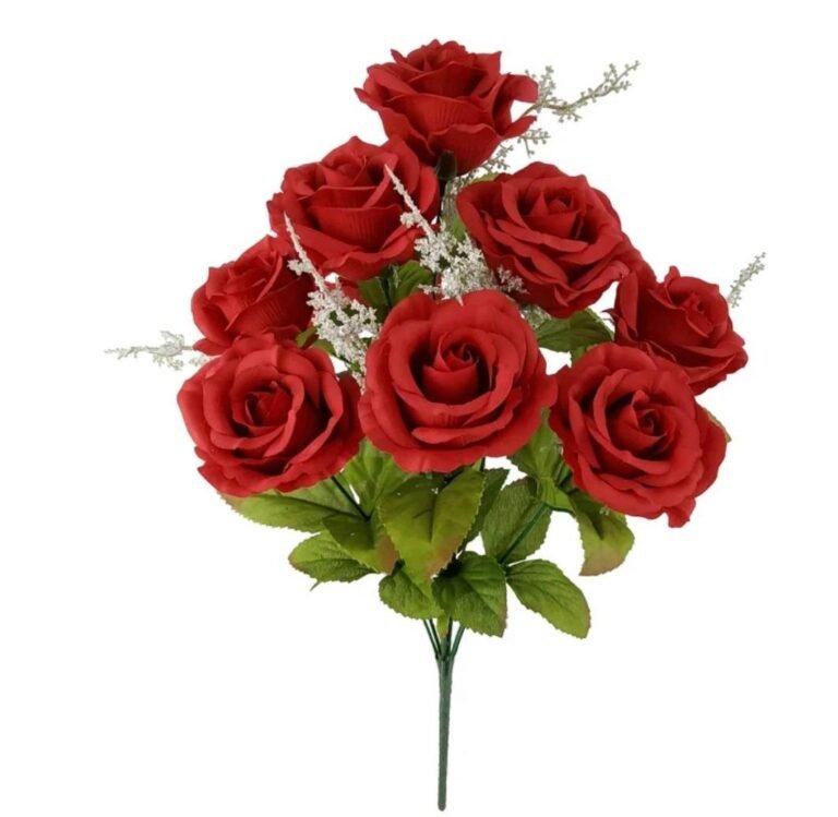 WhatsApp Image 2026-02-10 at 03.48