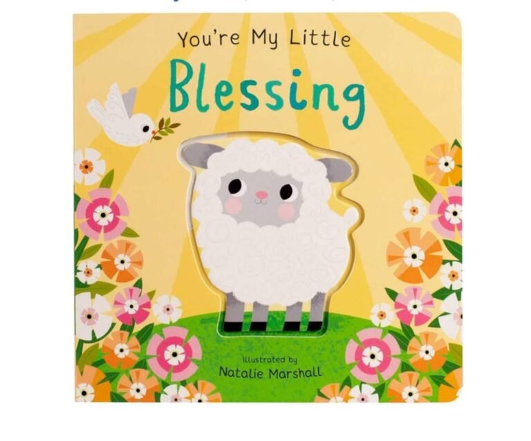 WhatsApp Image 2026-02-12 at 02.55