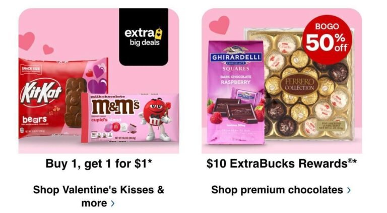 WhatsApp Image 2026-02-13 at 01.02