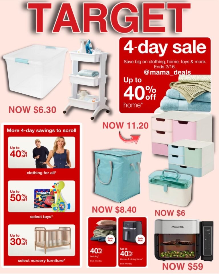 WhatsApp Image 2026-02-13 at 22.12