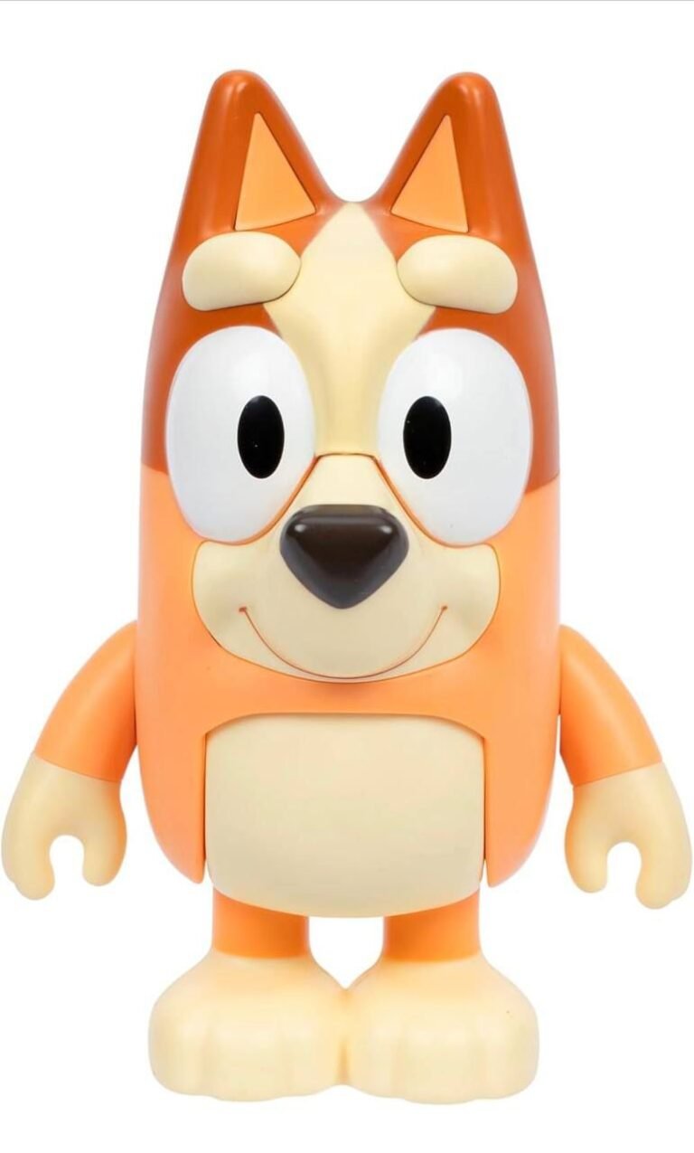 WhatsApp Image 2026-02-13 at 22.34