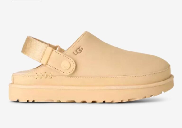 WhatsApp Image 2026-02-14 at 01.29