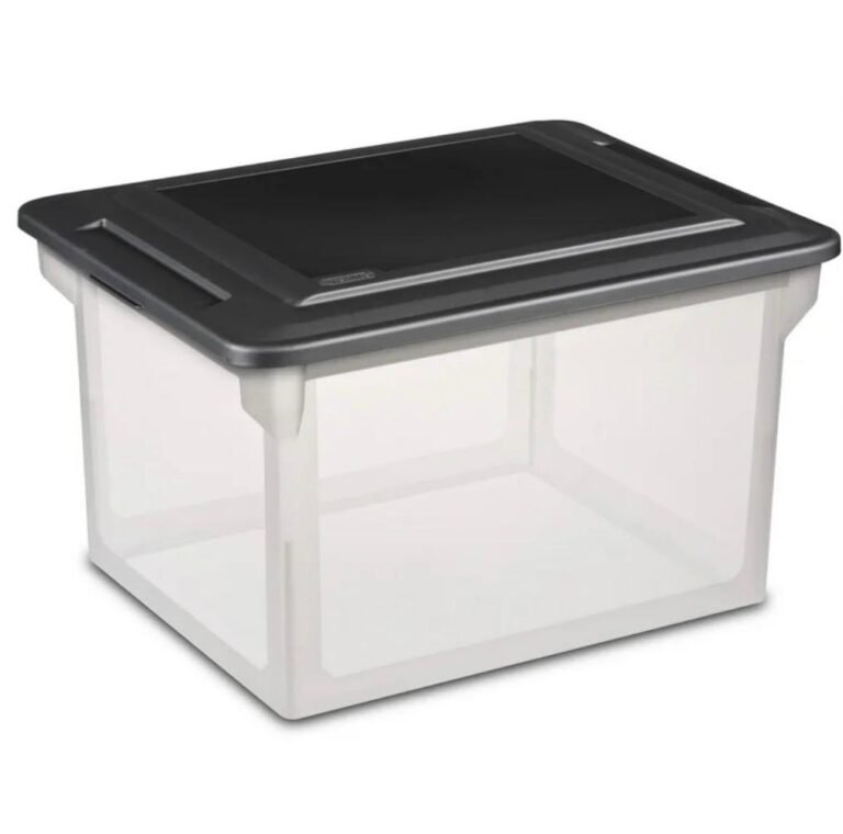 WhatsApp Image 2026-02-16 at 01.40