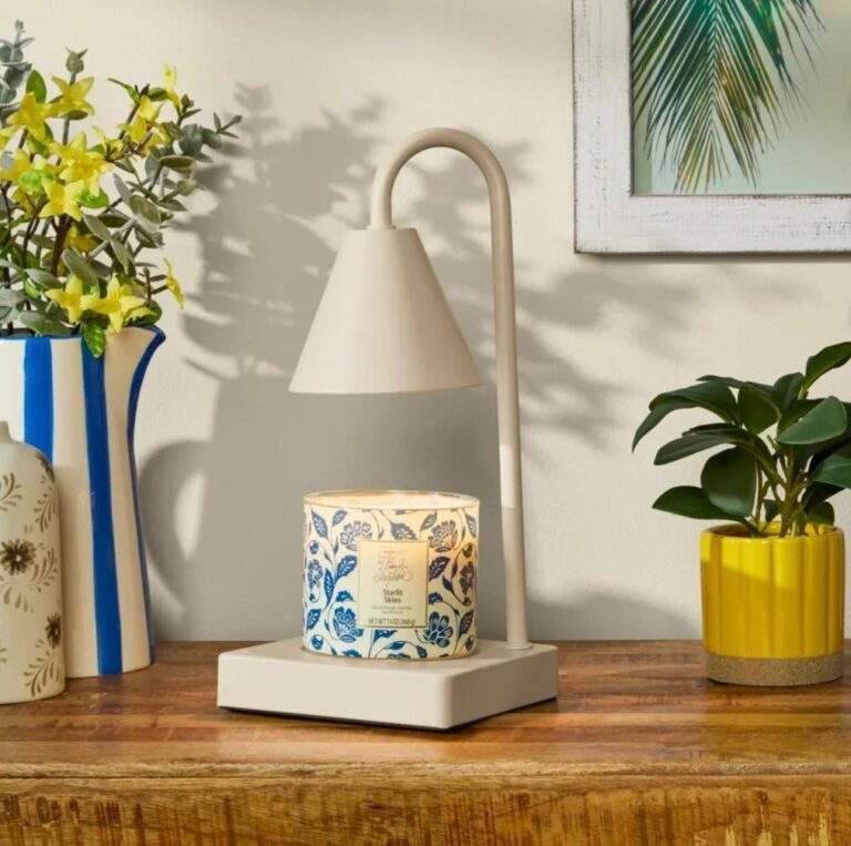 WhatsApp Image 2026-02-16 at 03.08